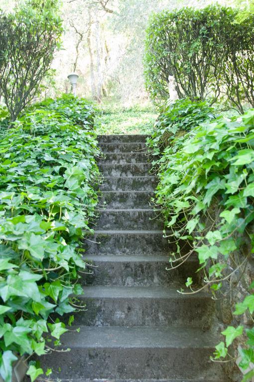 Foothill House Bed & Breakfast Calistoga Ngoại thất bức ảnh